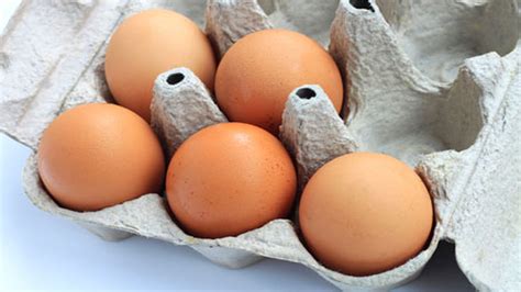 CDC Offers Advice for Avoiding Salmonella Infection From Eggs