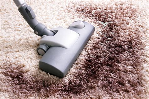 7 Simple Steps to Cleaning a Rug