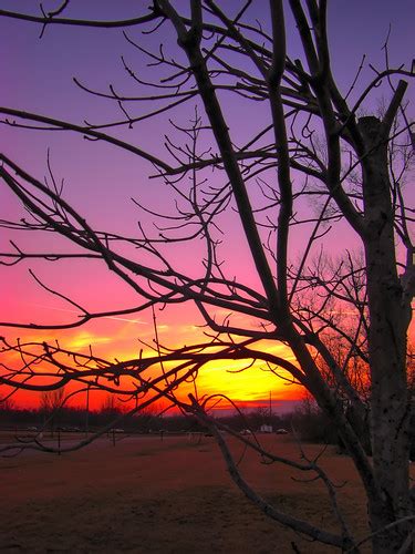 Lonely Tree Sunset | Flickr - Photo Sharing!