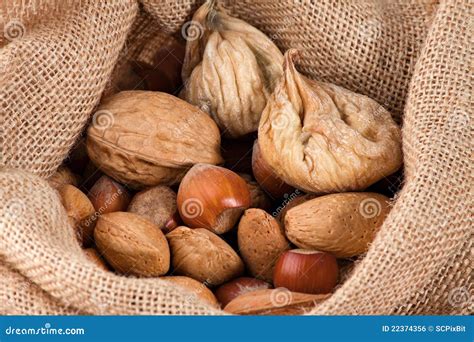 Nuts and dried figs stock photo. Image of hazelnuts, dried - 22374356