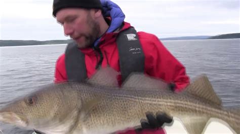 Norway sea fishing at Skarnsundet - YouTube