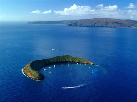 Molokini | Go Hawaii