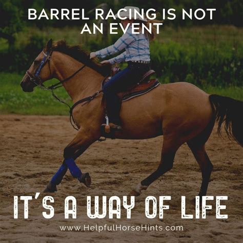 17 Remarkable Barrel Racing Quotes with Shareable Pictures | Helpful Horse Hints