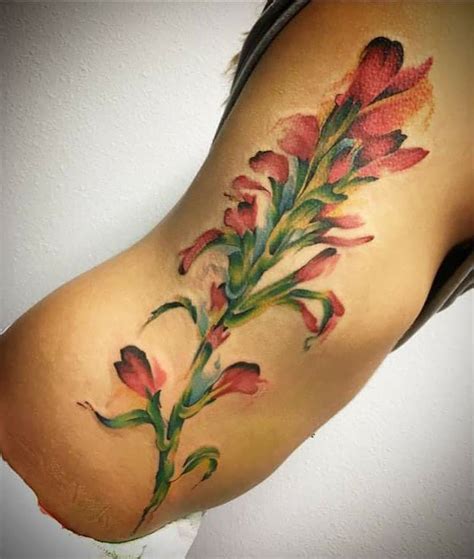 Top 65+ indian paintbrush flower tattoo super hot - in.eteachers