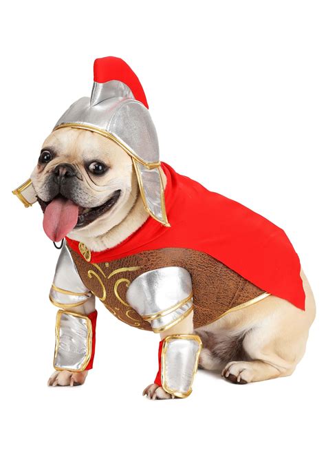 Gladiator Pet Costume