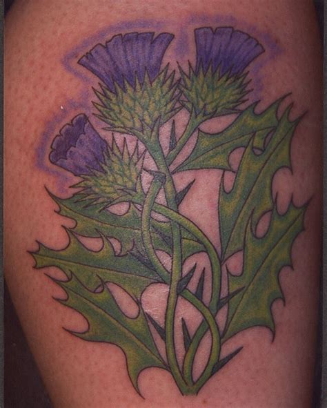 scottish thistles by bizarre ink, via Flickr | Scottish tattoos ...