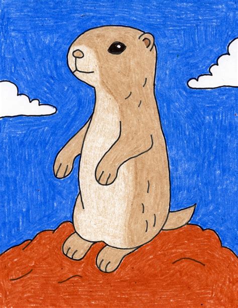 How To Draw A Prairie Dog - Behalfessay9