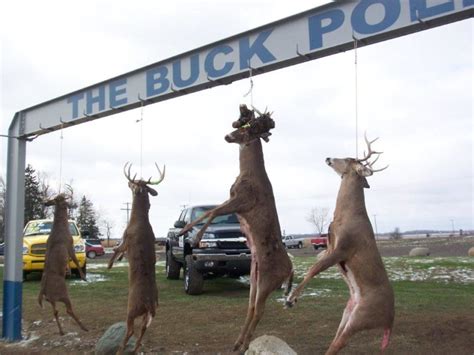 The Colorful History Of Michigan Deer Hunting