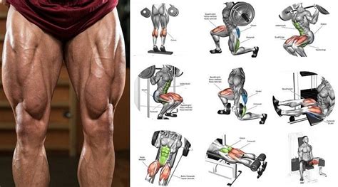 You already realize the importance of training your lower body by searching for how to build leg ...