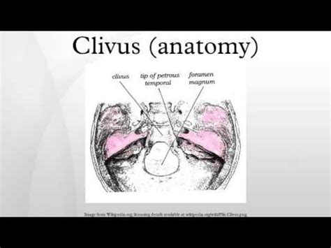 Clivus (anatomy) - YouTube