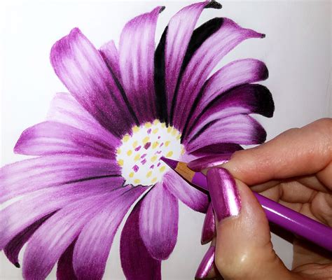 How to Draw Flowers by Jasmina Susak | Color pencil drawing, Flower drawing, Realistic flower ...