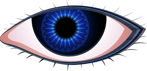 Blue eyes isolated background. 24376385 Vector Art at Vecteezy