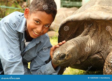 Boy Visits Jonathan the Tortoise on St Helena Stock Photo - Image of happy, grass: 16839200