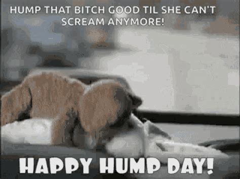 Happy Hump Day Blaupunkt Ad GIF - HappyHumpDay BlaupunktAd TheAdvantageInYourCar - Discover ...