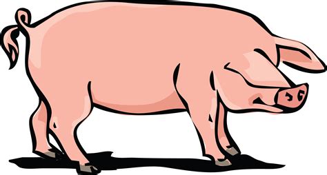 Pork Meat Clipart Illustrations