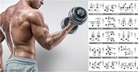 Biceps Workout That Will Have You Bursting Through Your Sleeves ...