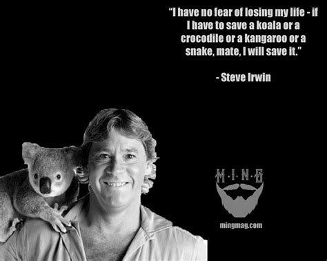 Steve Irwin Quotes - ShortQuotes.cc