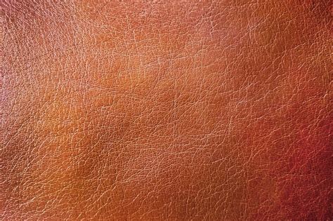 Brown background, leather texture design | Free Photo - rawpixel