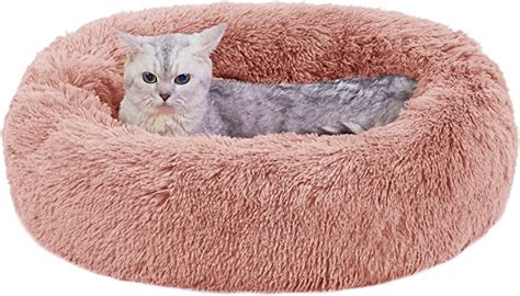 Top 5 Best Washable Cat Beds | Pet Care Advisors