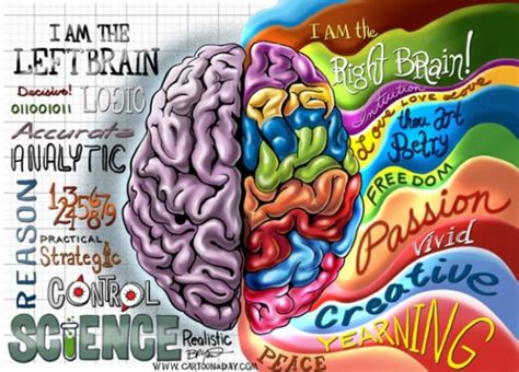 Creativity and Right Brain Function for Happiness