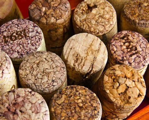 The Great Wine Cork Debate: natural corks vs synthetic corks