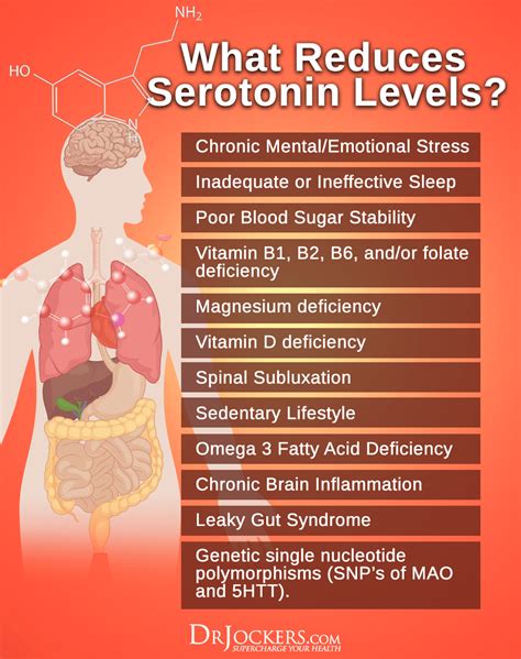 Do You Have Low Serotonin Levels? - DrJockers.com