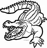 Crocodile Alligator Wild Coloring Page  Wecoloringpagecom sketch template