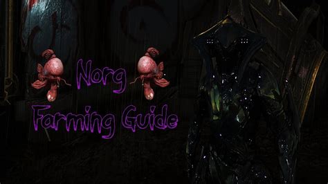 Warframe - Norg Farming Guide (Still Works) - YouTube