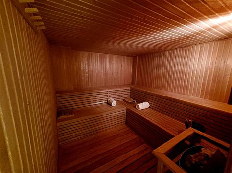 Top 15 Hotels with Sauna in Mendoza - Nina Berg's Guide 2024