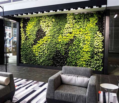 Office Plants Service & Living Walls | Botanical Designs