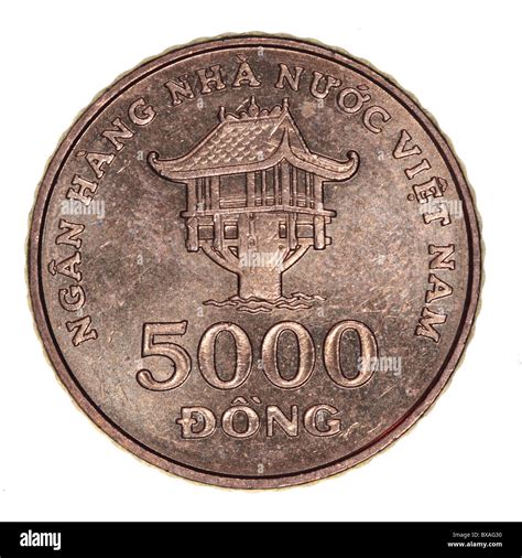 Vietnamese Dong Coins