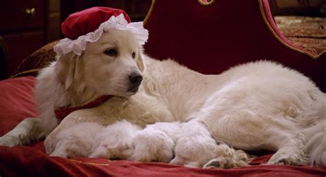 Santa Paws 2: The Santa Pups – Mica Blackwell