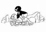 Pingu Coloring Pages  Coloring Home sketch template