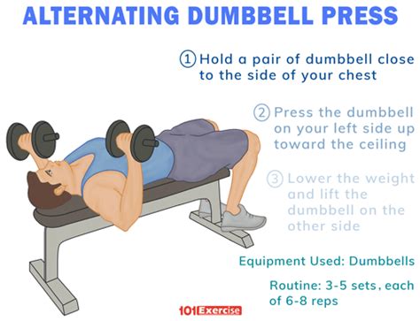 Alternating Dumbbell Press | 101Exercise.com