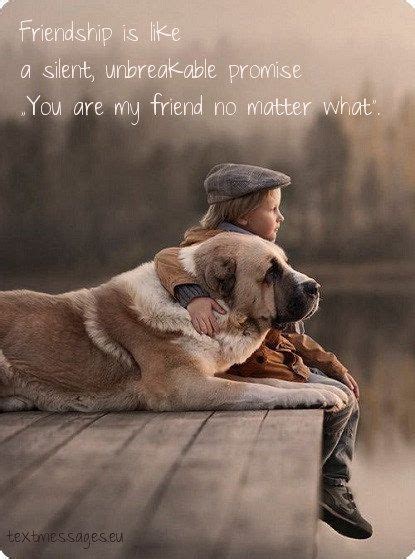 Top 50 Nice Friendship Quotes And Friendship Messages Love My Dog, Big ...