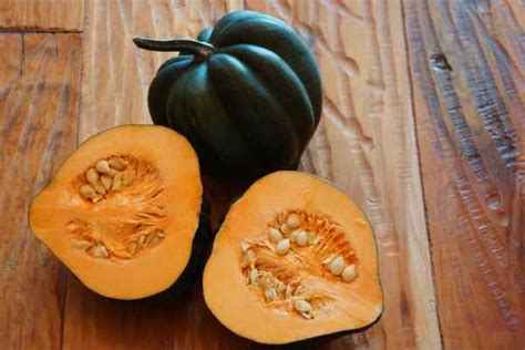 Acorn Squash - 2 | Daily Harvest Express