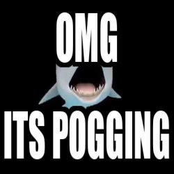 Meme Personalizado - omg its pogging - 32003208