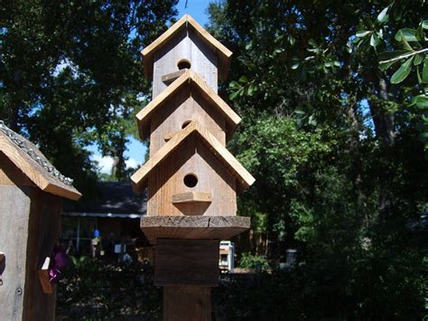 Finch house Florida Gardening, Finches, Birdhouse, Feathered, Make And ...