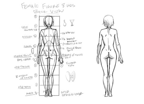 Female Figure back view tutorial by THEJETTYJETSHOW on DeviantArt