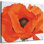 Red Poppy - O'Keeffe Paintings | Famous Art @ Canvas Paintings