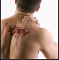 Back Pain Management Tips and Techniques | Doctor William Abdul Blog