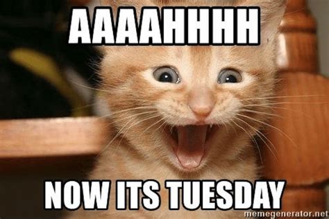 15 Happy Tuesday Memes To Get You Through The Week | Tuesday meme, Funny friday memes, Happy ...