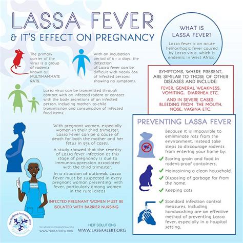 All You Need To Know About Lassa Fever, Symptoms, Prevention and ...