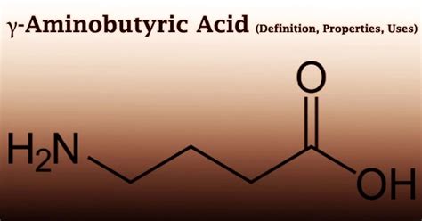 Butyric Acid Fermentation Definition Principle Proced - vrogue.co