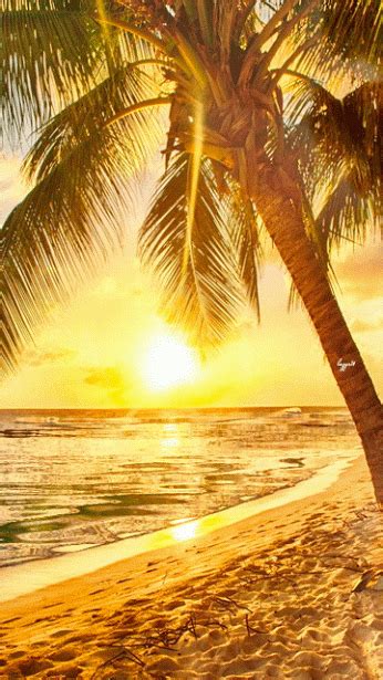 Playa Beautiful Gif, Beautiful Sunrise, Beautiful Beaches, Beautiful World, Beautiful Pictures ...