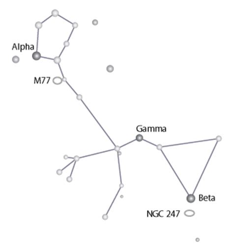 Chandra :: Photo Album :: Constellation Cetus