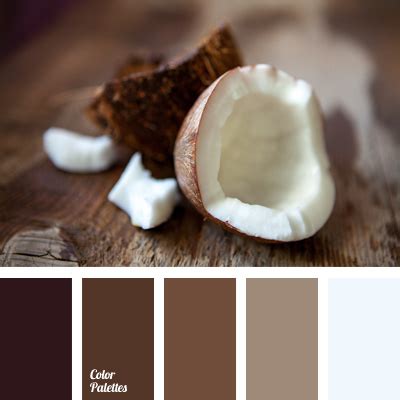 light brown | Page 22 of 22 | Color Palette Ideas