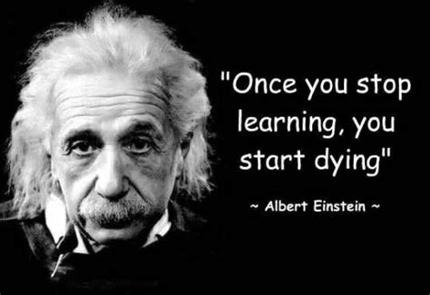 Life NEVER stops teaching so NEVER stop learning | Einstein quotes ...