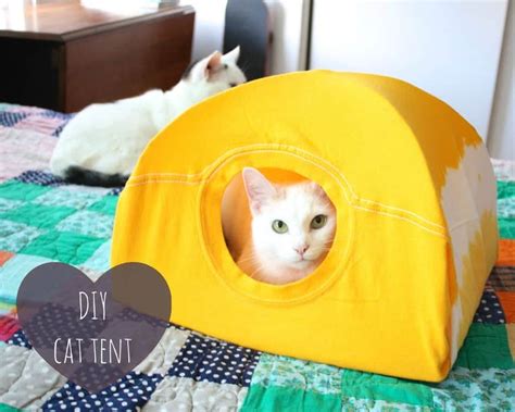 15 Cool DIY Cat Houses