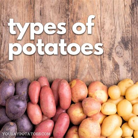 Types of Potatoes • You Say Potatoes